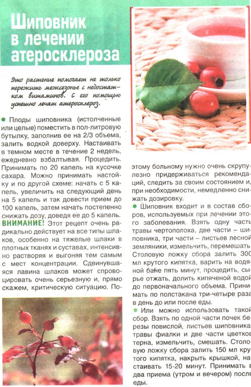 Шиповник плоды 100 гр. в Омске