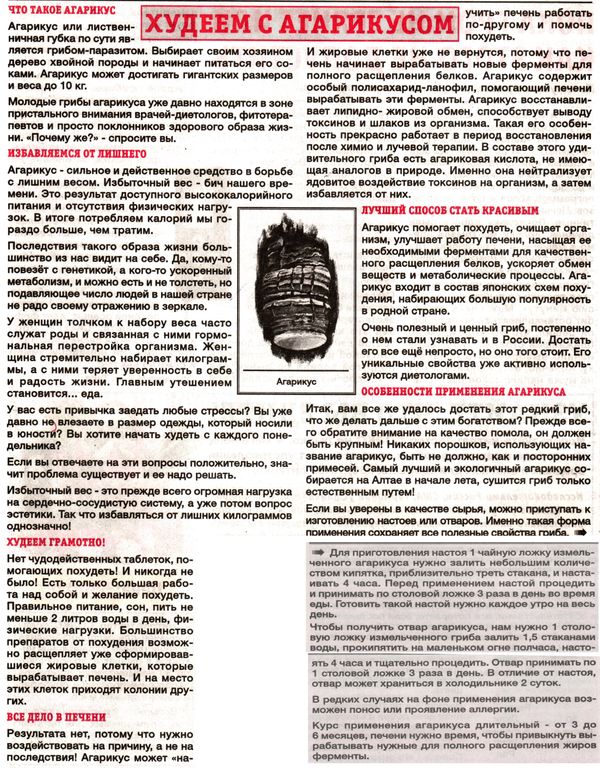 Агарик гриб 100 гр. в Омске