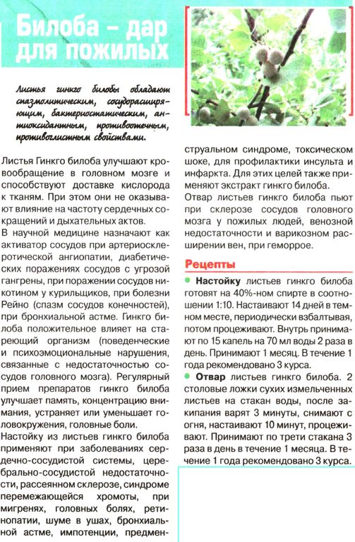 Гинкго билоба, лист 50г в Омске
