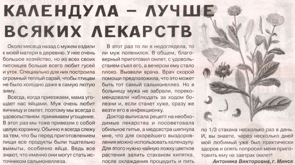 Календула цветы 100 гр. в Омске