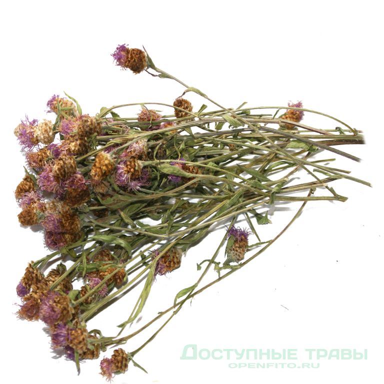 Василек цветки 100 гр. в Омске