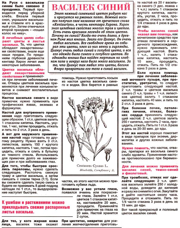 Василек цветки 100 гр. в Омске