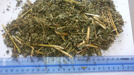 Лабазник трава 200 гр. в Омске