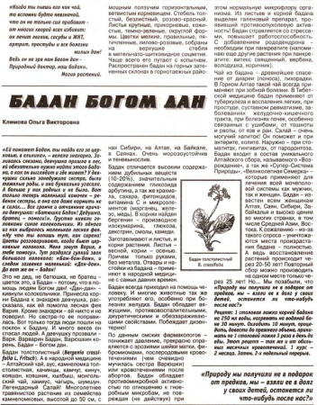 Бадан лист 100 гр. в Омске