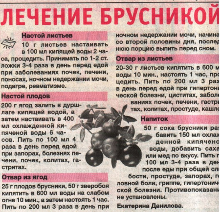 Брусника лист 100 гр. в Омске