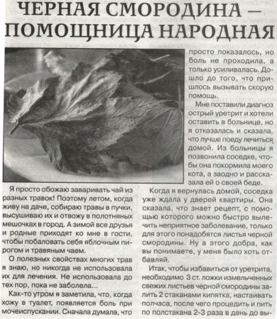 Смородина лист 200 гр. в Омске